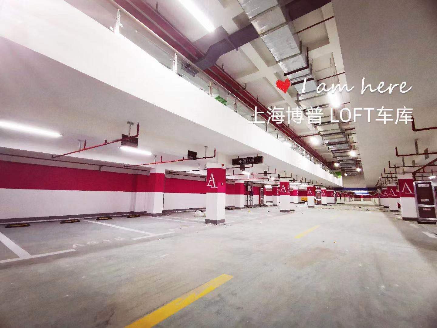 湖北已交竣的绿城豪华LOFT专利车库效果惊艳！
